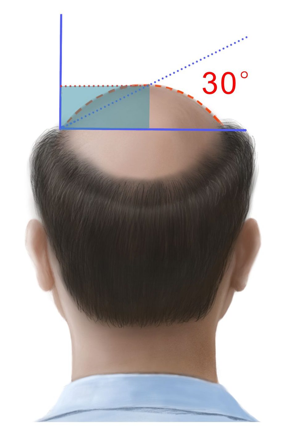 C 弧度 30°